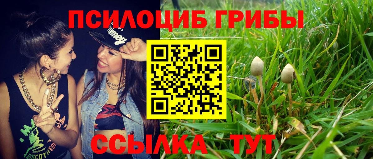 Псилоцибиновые грибы MAGIC MUSHROOMS  Галлюциногенные грибы Magic Shrooms  Вход с VPN  Алексин 