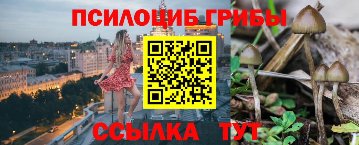 Галлюциногенные грибы GOLDEN TEACHER Алексин